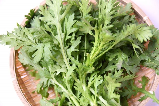 春菊ダイエットのやり方と効能・効果やおすすめレシピ!
